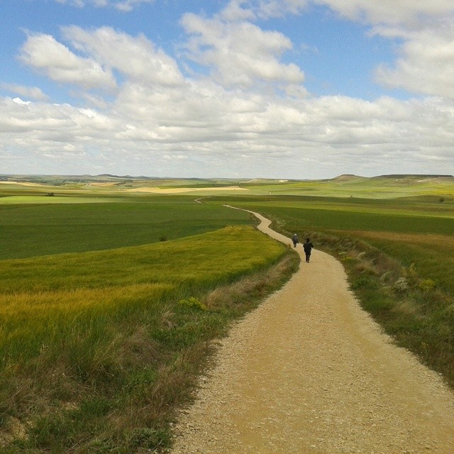 Camino de Santiago