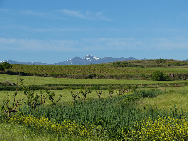 Camino de Santiago