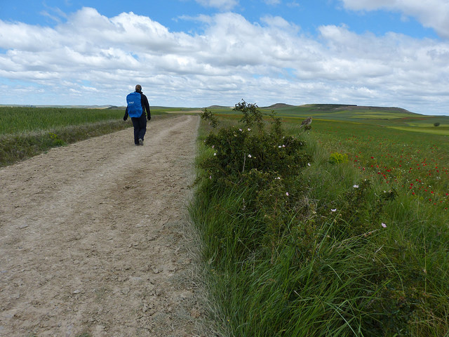 Camino de Santiago