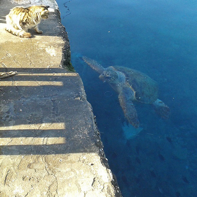 Kastellorizo, Kreikka