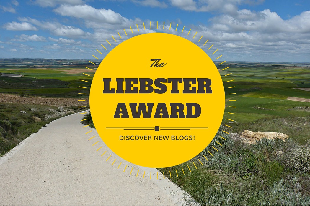 Liebster Award - 11 matkatarinaa