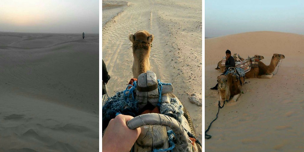 Kamelin kyydissä aavikolla
