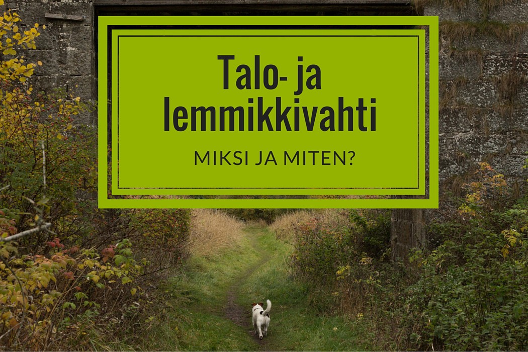 Tietoa talo- ja lemmikkivahtikeikoista