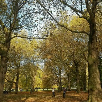 Green Park, Lontoo, UK