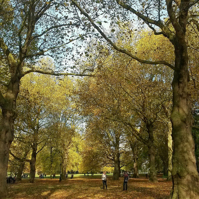 Green Park, Lontoo, UK