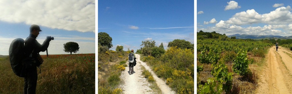 Camino de Santiago - matkakumppani